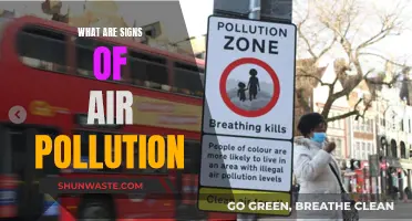 Air Pollution: Warning Signs in Our Environment