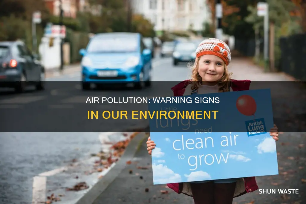 what are signs of air pollution