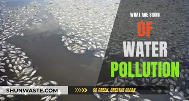 Uncover the Hidden Signs of Water Pollution: A Guide to Awareness