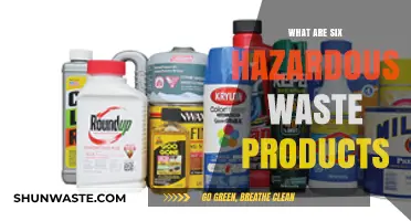 Unveiling the Hidden Dangers: Six Hazardous Waste Products to Beware Of