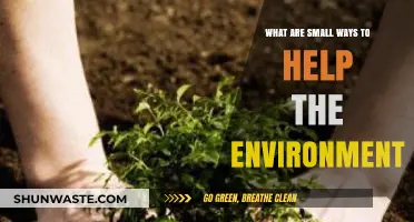 Simple Eco-Friendly Habits: Small Steps for a Greener Planet