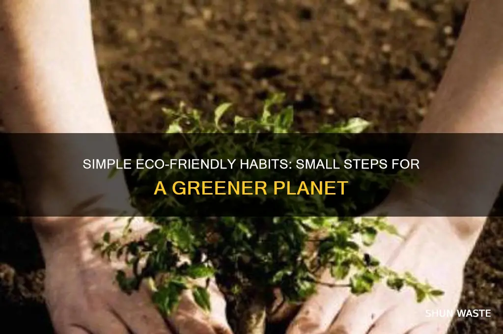 what are small ways to help the environment