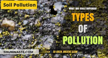 Soil Pollution: Different Types, One Big Problem