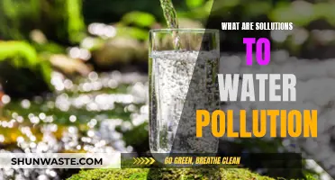 Clean Water Solutions: Strategies to Combat Pollution