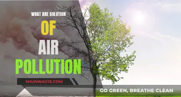 Solutions to Air Pollution: Breathing Easy Again