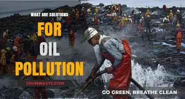 Oil Pollution Solutions: Cleaning Our Oceans and Seas