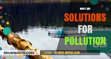 Innovative Solutions to Combat Pollution
