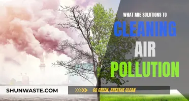 Strategies for Cleaning Air Pollution and Improving Air Quality
