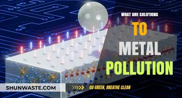 Mitigating Metal Pollution: Strategies and Solutions
