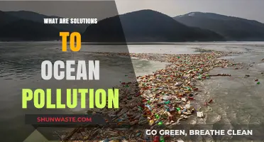 Ocean Cleanup: Solutions to Pollution