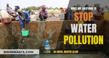 Clean Water, Healthy Planet: Effective Solutions to Stop Water Pollution