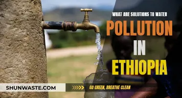 Ethiopia's Water Crisis: Solutions for a Cleaner Future