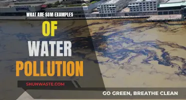 Unveiling Water's Dark Secrets: Real-World Pollution Examples