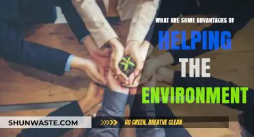 Sustainable Living: Key Benefits of Protecting Our Environment for a Greener Future