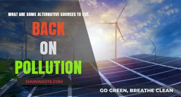 Green Alternatives to Reduce Pollution and Save the Planet