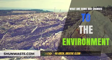 Devastating Environmental Changes: How Human Actions Harm Our Planet