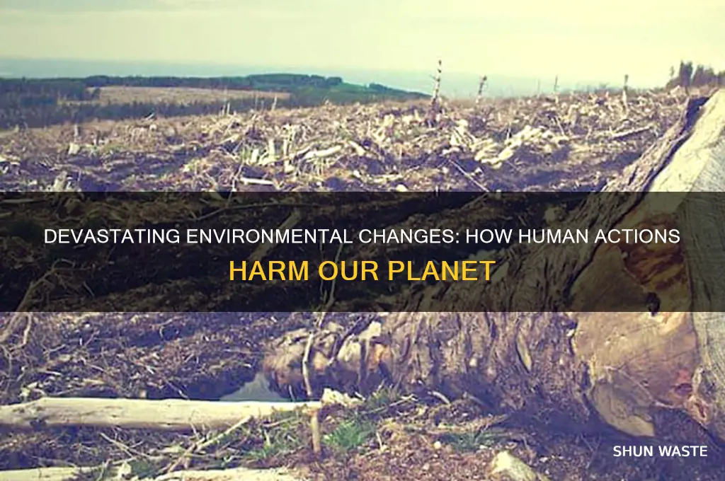 what are some bad changes to the environment
