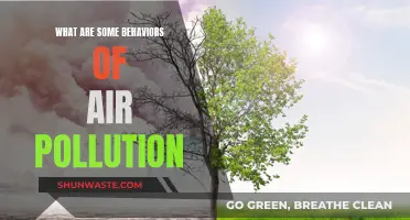 Air Pollution: Harmful Human Behaviors and Their Impact