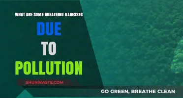 Breathing Ills: Pollution's Dark Legacy