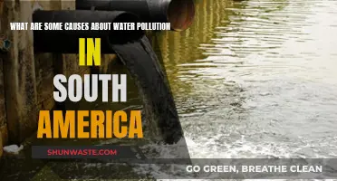 Unveiling South America's Water Crisis: Causes and Solutions