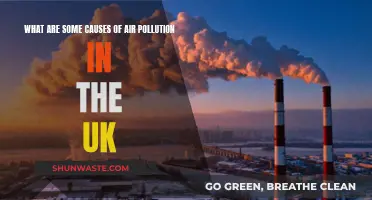 Breathing Trouble: Unveiling UK's Air Pollution Crisis