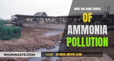 Unveiling the Hidden Sources: Causes of Ammonia Pollution