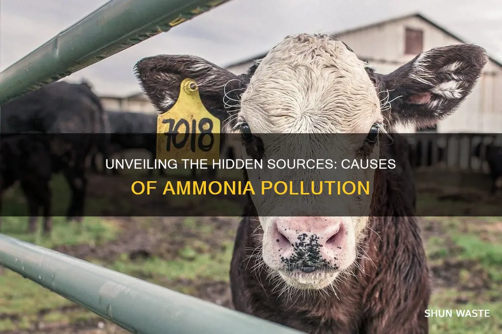 what are some causes of ammonia pollution