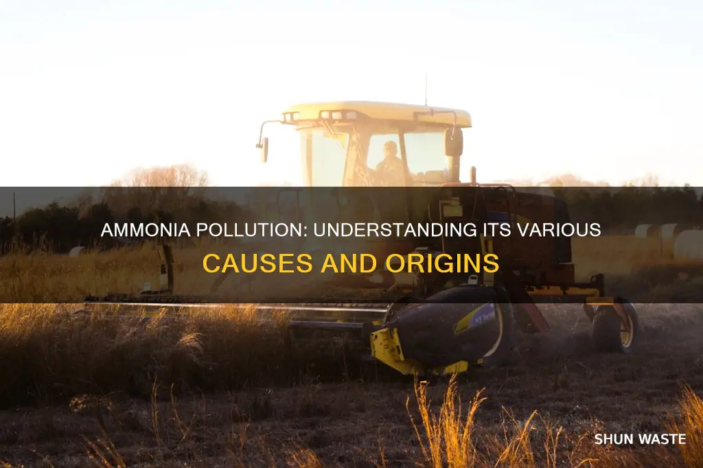 what are some causes of ammonia pollution