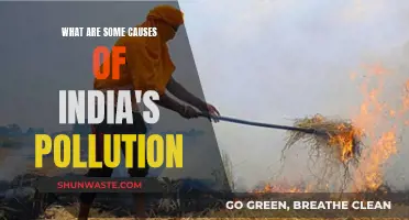 Unveiling India's Pollution Crisis: Causes and Solutions