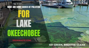 Unveiling the Hidden Causes of Pollution in Lake Okeechobee