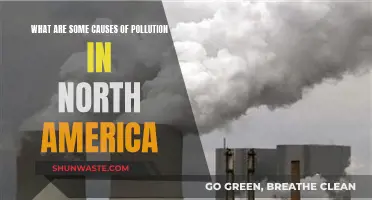 Unveiling North America's Pollution: Causes and Solutions