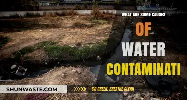 Unveiling the Hidden Dangers: Causes of Water Contamination