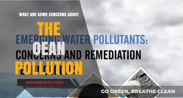 Ocean Pollution: What are the Major Concerns?