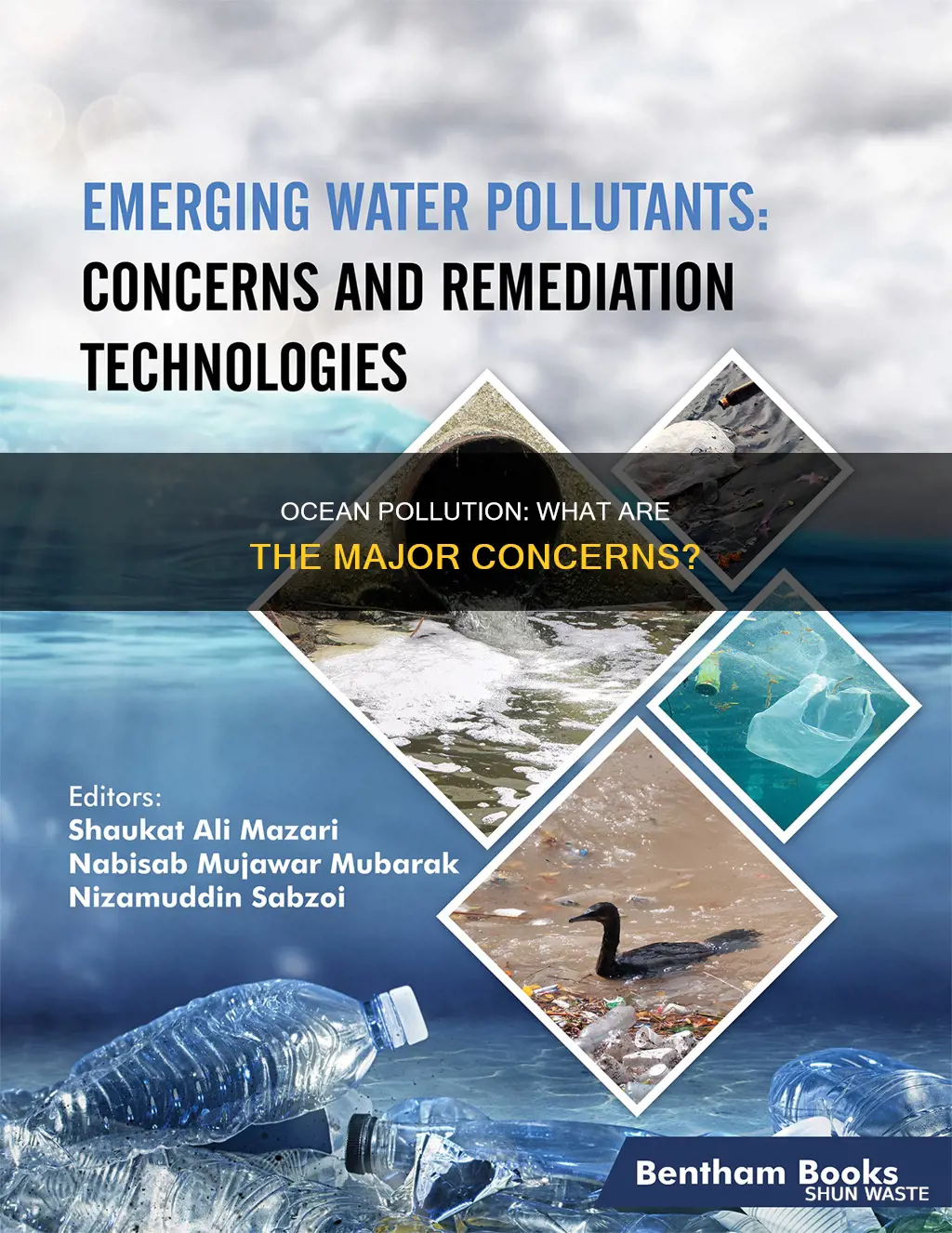 what are some cencerns about the oean pollution