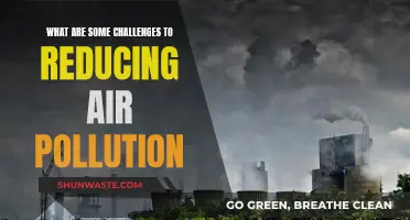 Addressing Air Pollution: Overcoming Key Challenges to Breathe Easier