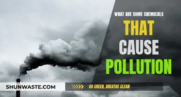 Unveiling the Hidden Pollutants: Chemicals Causing Environmental Damage