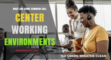Exploring Diverse Call Center Workspaces: From Bustling Offices to Remote Setups