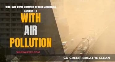 Air Pollution's Health Impact: Common Conditions to Know