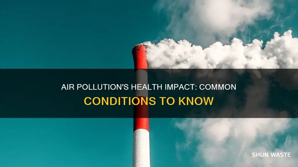 what are some common health conditions associated with air pollution