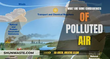 Air Pollution's Devastating Impact on Our Health and Environment