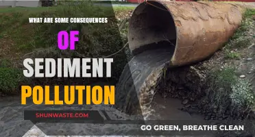 Sediment Pollution: Understanding the Devastating Impact on Ecosystems
