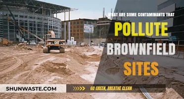 Brownfield Contaminants: Understanding the Common Pollutants