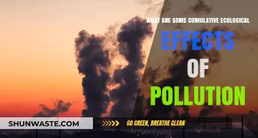 The Polluting Legacy: Cumulative Ecological Effects of Pollution