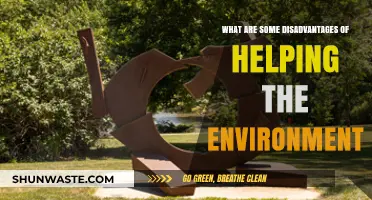 Environmental Aid's Hidden Costs: Challenges and Unintended Consequences Explored