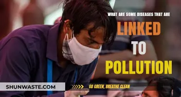 Pollution's Link to Diseases: A Growing Concern