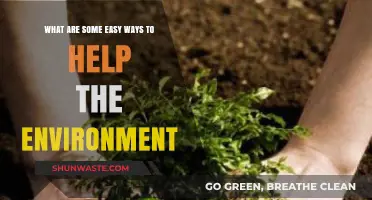 Simple Eco-Friendly Habits to Protect Our Planet Every Day