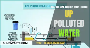 Innovative Solutions: Purifying Polluted Water for a Healthier Future