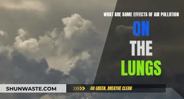 Air Pollution's Impact: Lung Health and Disease