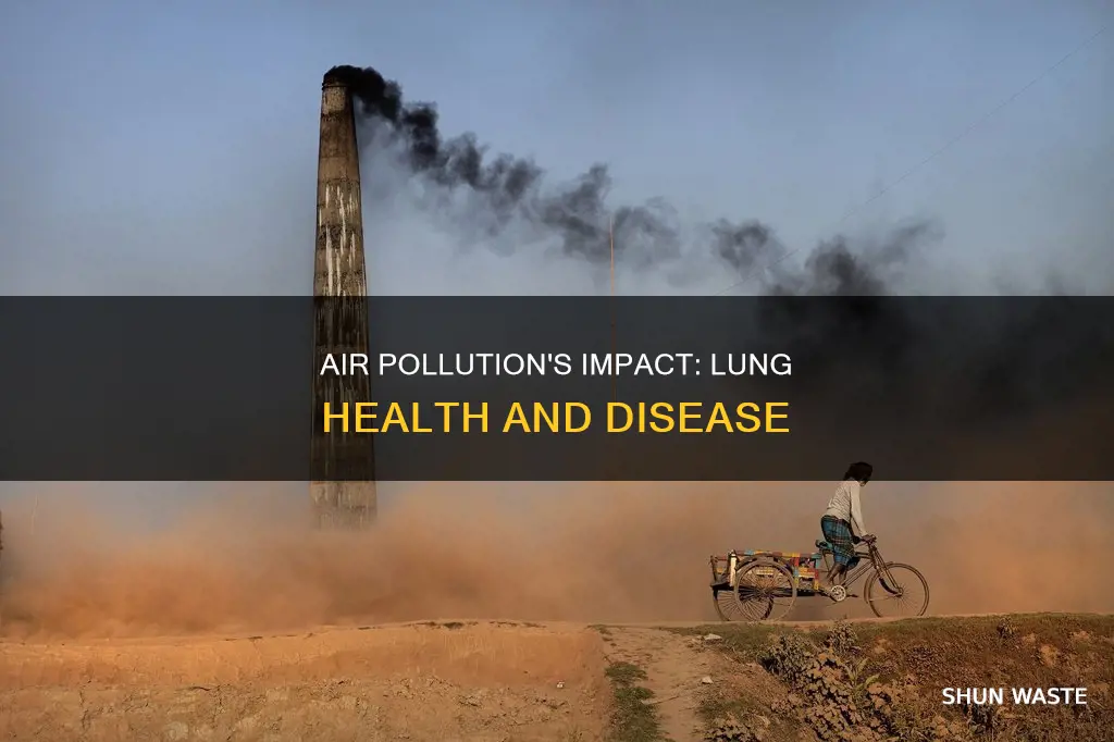what are some effects of air pollution on the lungs