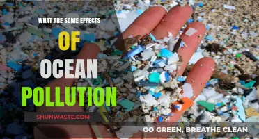 Ocean Pollution: Understanding its Devastating Impact